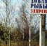 В Ленобласти действует запрет на ловлю рыбы - Lugacity.Ru