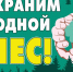 Лужское лесничество приглашает на акцию «Сохраним лес» - Газета Лужская правда