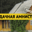 Область напоминает о «дачной амнистии» - Газета Лужская правда