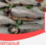 IV Международный рыбопромышленный форум - Газета Лужская правда
