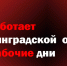 FAQ: что работает в Ленинградской области в нерабочие дни - Газета Лужская правда
