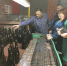 «Петербургское стекло»: секрет успеха  в отличной команде - Газета Лужская правда