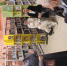 Историческая старина и ископаемые древности: мартовское заседание Лужского общества краеведов - Газета Лужская правда