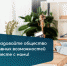 Малый бизнес включается в инклюзивную деятельность - Газета Лужская правда