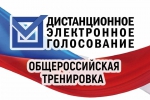 Голосуем дистанционно!
