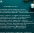 Поздравление с Новым годом от центра "Авангард" - Лужский институт
