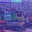 Татьянин день в Музее железных дорог России - Газета Лужская правда