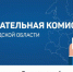 Как голосовали лужане на выборах президента - Газета Лужская правда