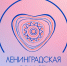 Новые направления в работе СО НКО будут поддержаны грантами губернатора Ленинградской области - Газета Лужская правда