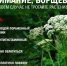 Осторожно – борщевик! - Газета Лужская правда