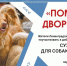 Помогите животным! Приносите корм в СББЖ г. Луги - Газета Лужская правда