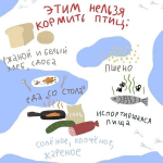 Школьники Лужского района отметили Синичкин день