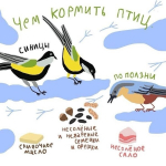Школьники Лужского района отметили Синичкин день
