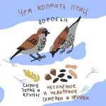 Школьники Лужского района отметили Синичкин день