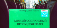 Для семей участников СВО – льготный проезд на автомобильном транспорте - Газета Лужская правда