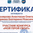 Студентки 1 курса колледжа Лужского института (филиала) приняли участие в ежегодном конкурсе «Мой герой СВО 47» - Лужский институт