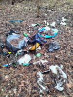 Лужский экоактивист помогает природе
