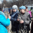Лужан приглашают на сельскохозяйственную ярмарку - Газета Лужская правда