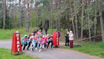 В Луге прошел легкоатлетический забег