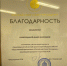 Лужане награждены почетными дипломами и благодарностями Российского Союза Молодежи - Газета Лужская правда