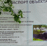 К 1 сентября в Луге будет благоустроена новая общественная территория - Газета Лужская правда