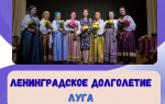 Эффективная работа программы «Активное долголетие» на примере Лужского «Университета третьего возраста»