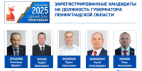 Выборы -2025 - Газета Лужская правда