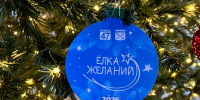 Луга присоединилась к акции «Ёлка желаний» - Газета Лужская правда