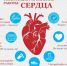 Сердечные вопросы - Газета Лужская правда