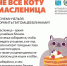 Не всё коту Масленица! - Газета Лужская правда