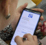 Готовится к запуску первый региональный портал для НКО «Команда 47» - Газета Лужская правда