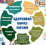 Быть здоровым – здорово! - Газета Лужская правда